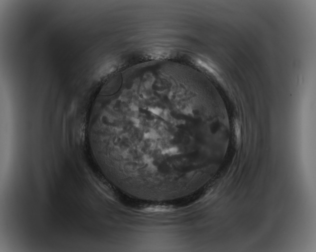 X0000087710499200705041101