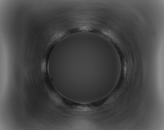 X0000087710502200705041101
