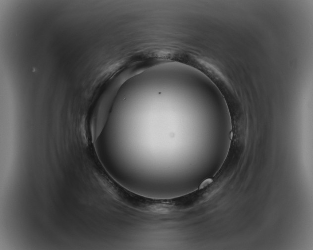 X0000087710505200705041101