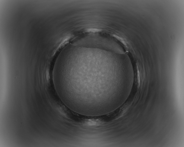 X0000087710508200705041101