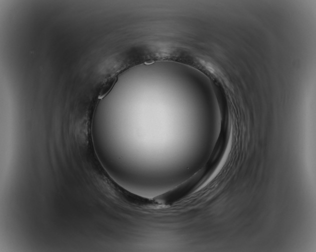 X0000087710509200705041101