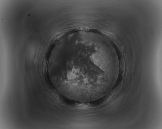 X0000087710511200705041101