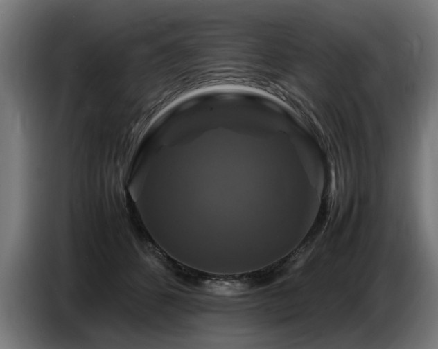 X0000087710512200705041101