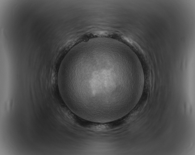 X0000087710513200705041101