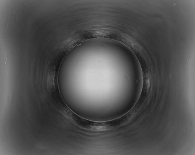 X0000087710514200705041101