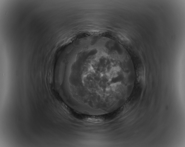 X0000087710515200705041101