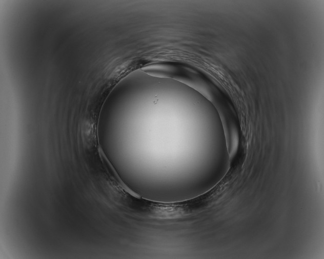 X0000087710521200705041101