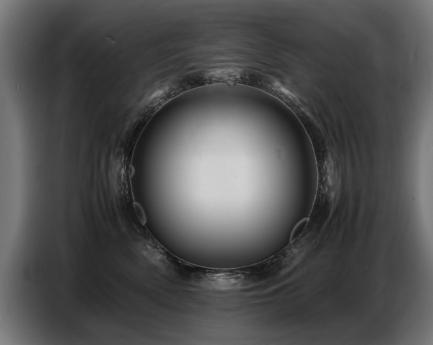 X0000087710522200705041100