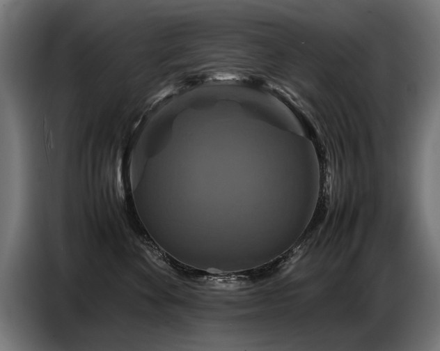 X0000087710524200705041100