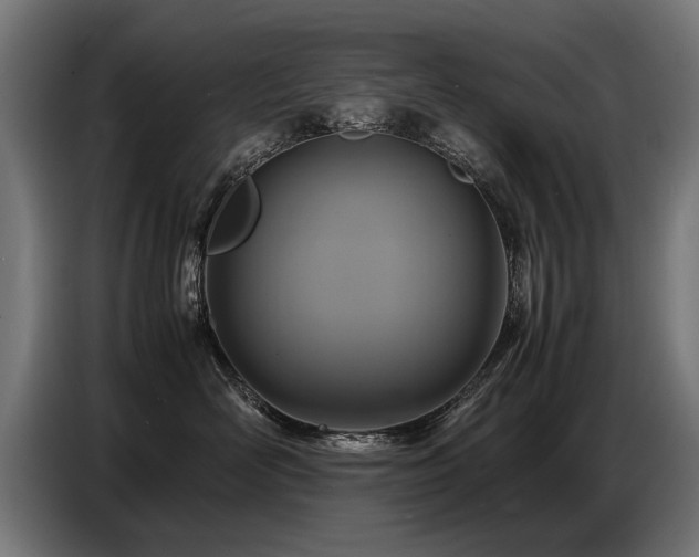 X0000087710526200705041100