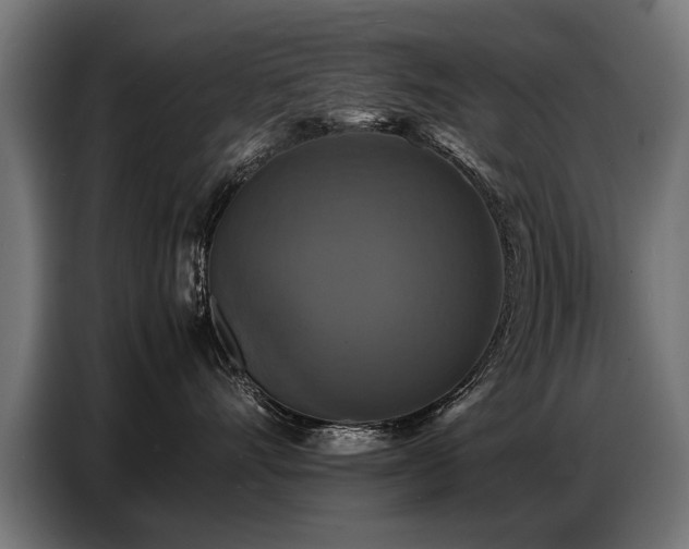 X0000087710528200705041100
