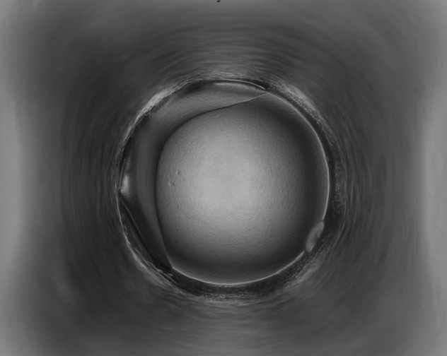 X0000087710530200705041100