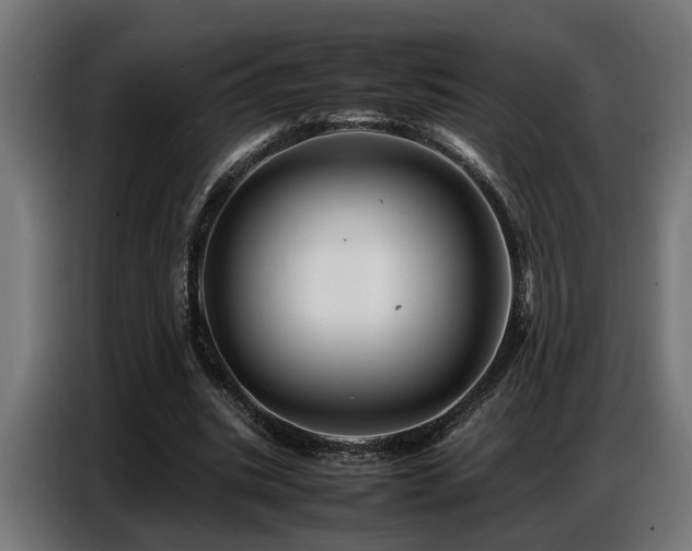 X0000087710535200705041100