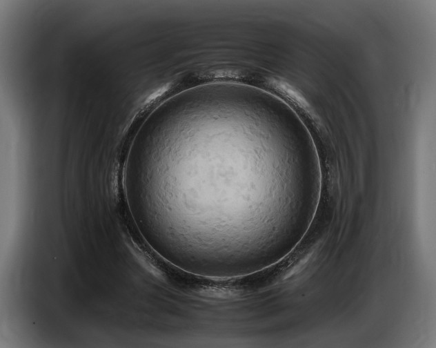 X0000087710537200705041100