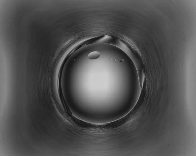X0000087710538200705041100