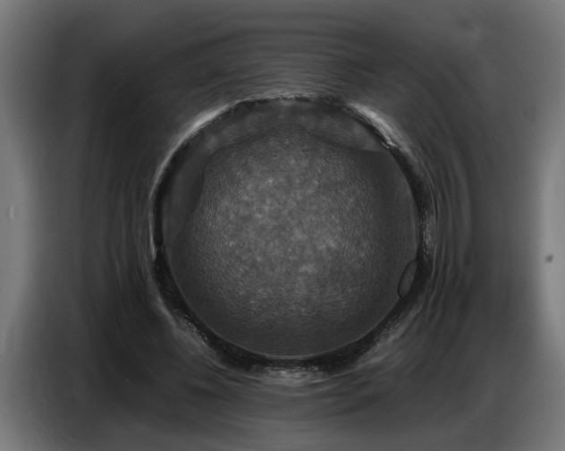 X0000087710540200705041100