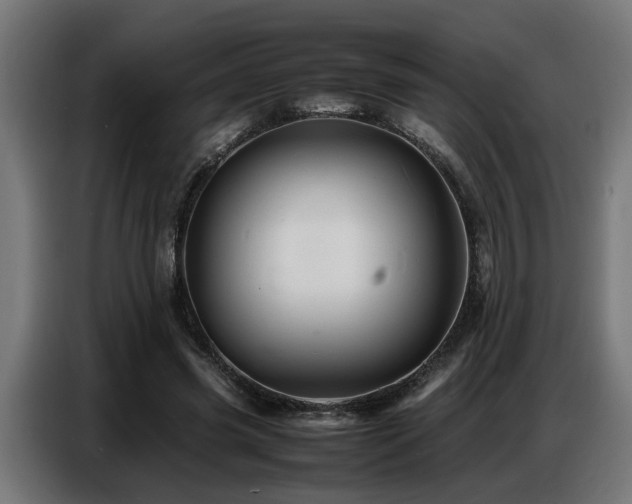 X0000087710541200705041100