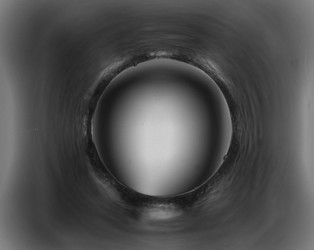 X0000087710543200705041100