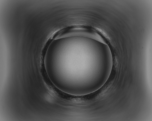 X0000087710544200705041100