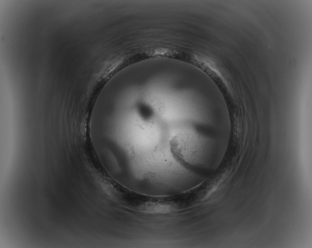 X0000087710545200705041100