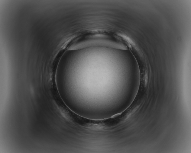 X0000087710548200705041100