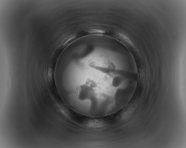 X0000087710549200705041100