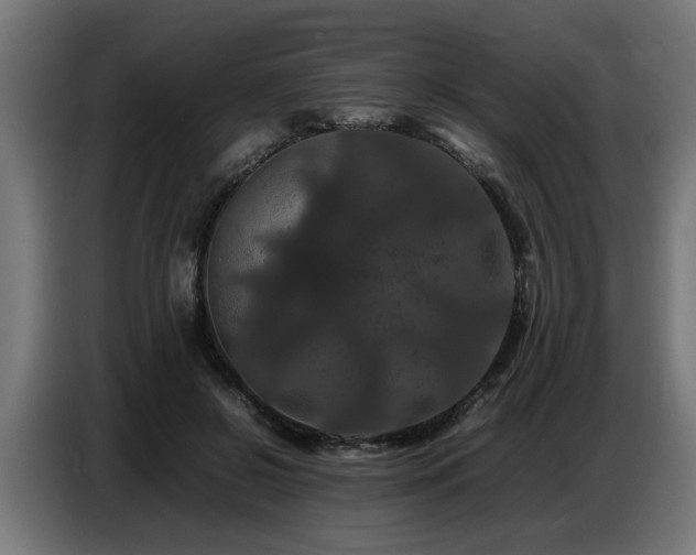 X0000087710550200705041100