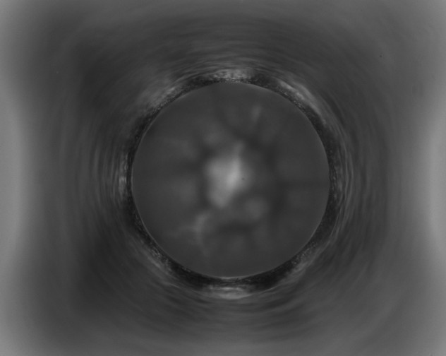 X0000087710553200705041100