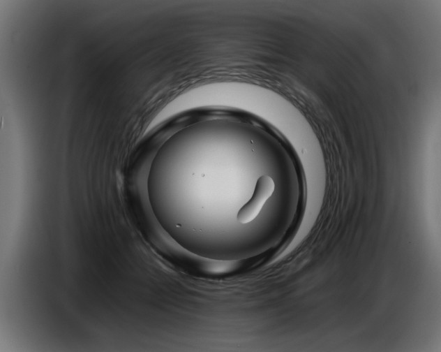 X0000087710558200705041100