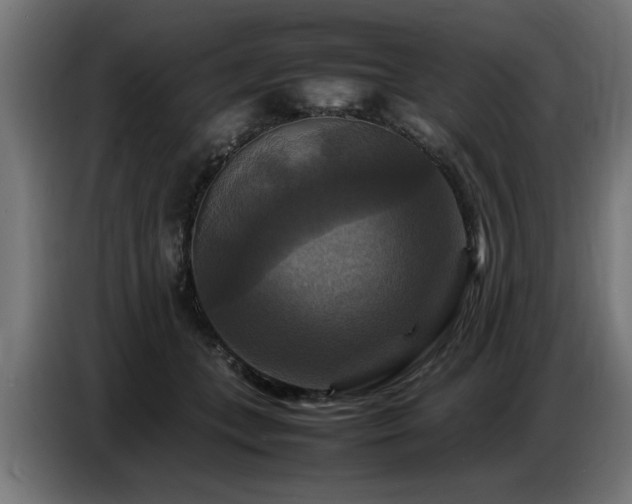 X0000087710559200705041100