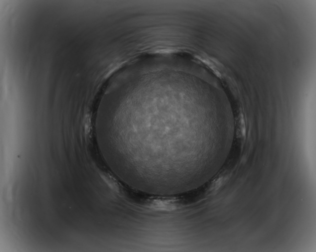 X0000087710560200705041100