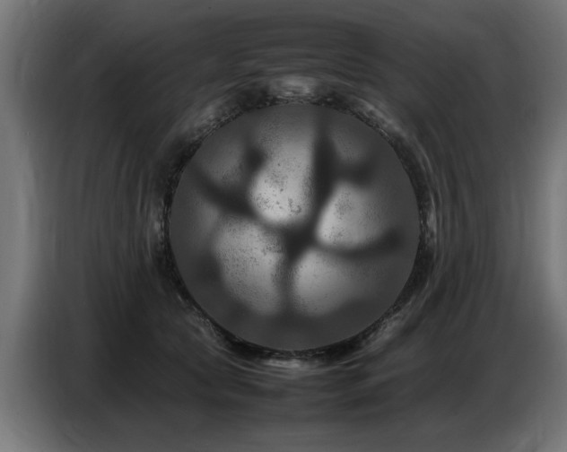X0000087710561200705041100