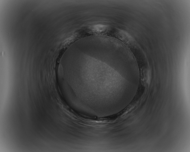 X0000087710563200705041100