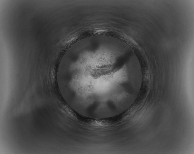 X0000087710565200705041100