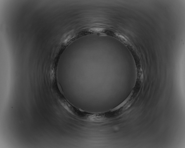 X0000087710568200705041100