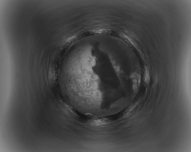X0000087710569200705041100