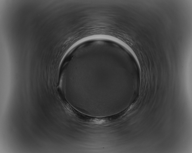 X0000087710570200705041100