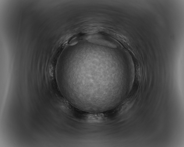 X0000087710571200705041100