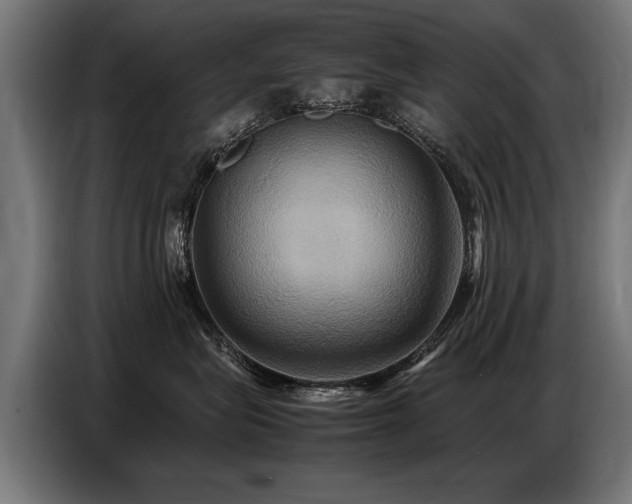X0000087710575200705041100