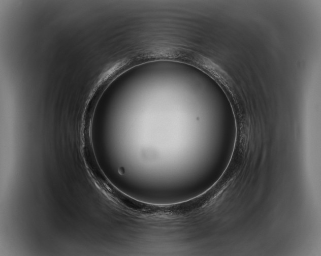 X0000087710578200705041100