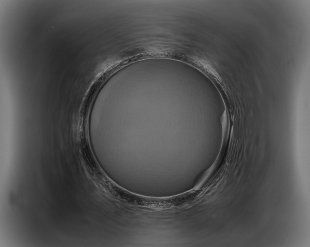 X0000087710579200705041100