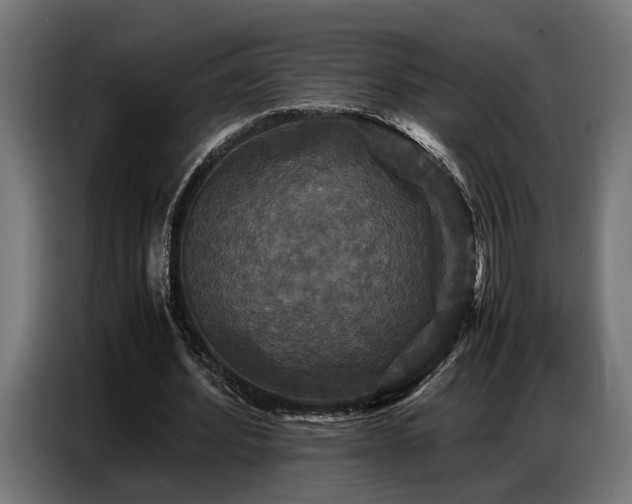 X0000087710580200705041100