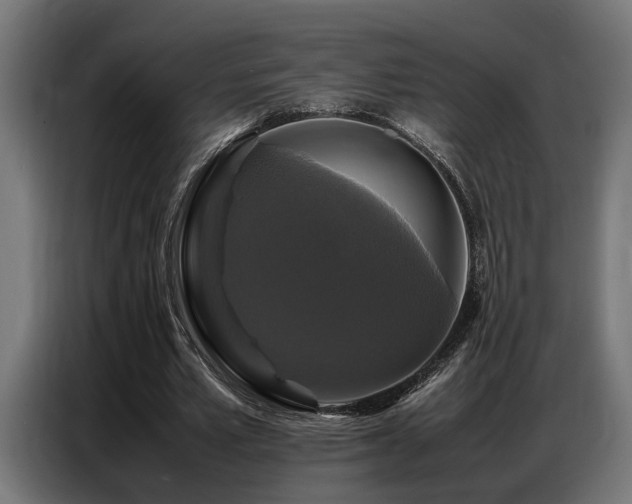 X0000087710581200705041100