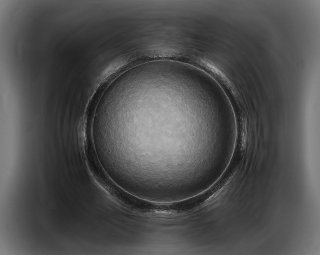 X0000087710582200705041100