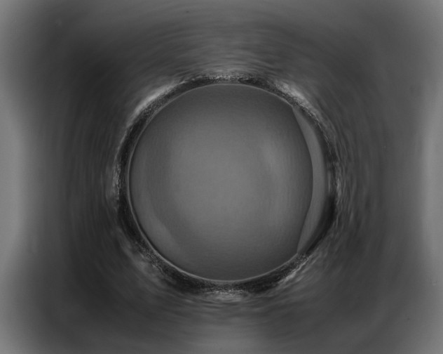 X0000087710583200705041100