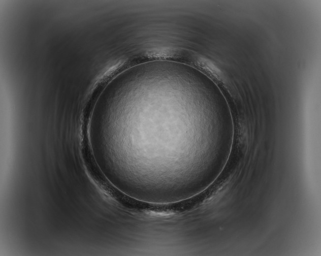 X0000087710586200705041100
