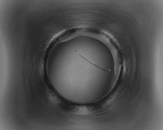 X0000087710588200705041100