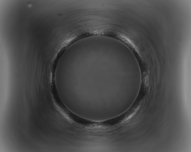 X0000087710589200705041100