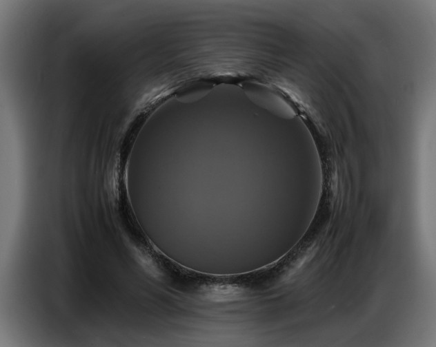 X0000087710590200705041100