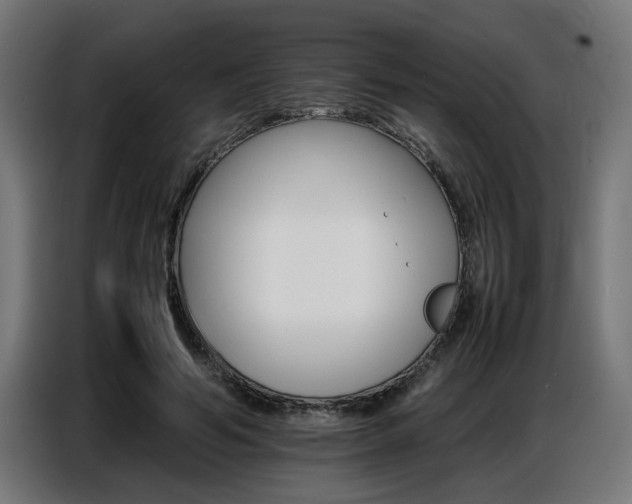 X0000087710594200705041100